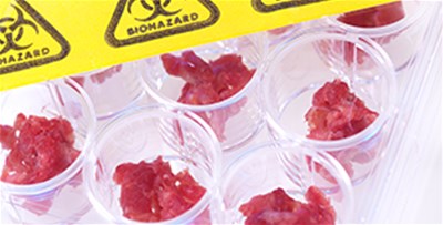 肉類加工行業金屬異物檢測